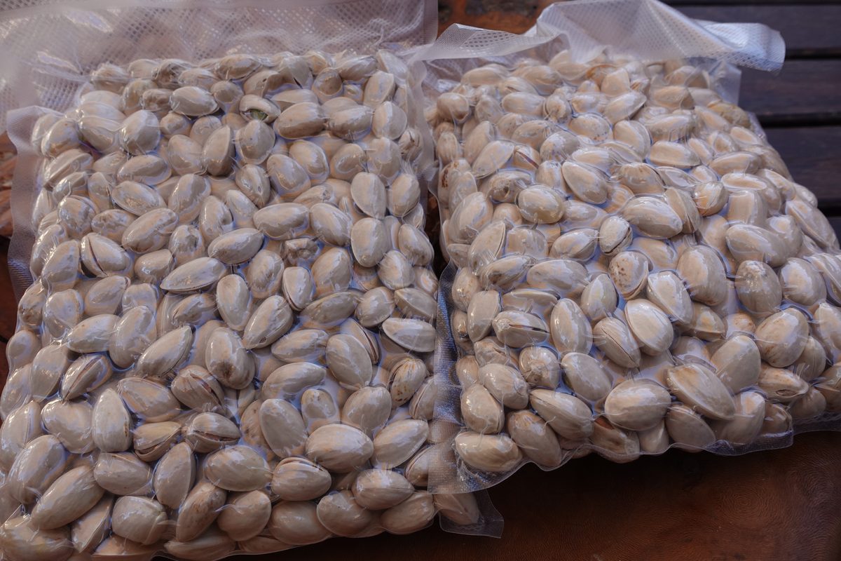 In-shell pistachios EXTRA, Spain, 2025