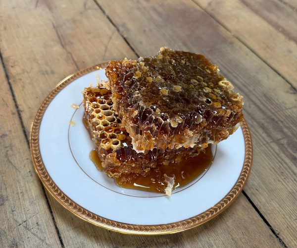Comb honey — Heather