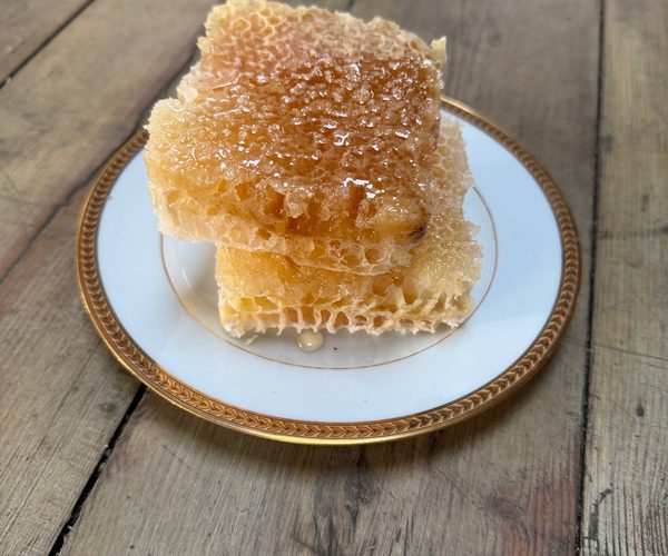 Comb honey — Orange blossom (2026)