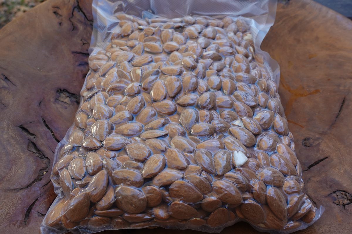 Shelled Guara almonds, 2025