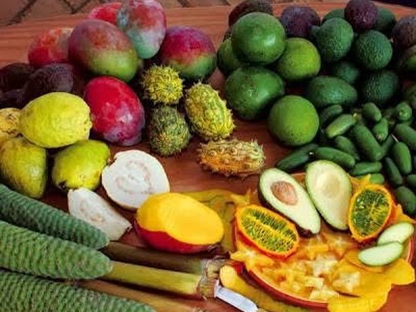 Fresh fruit & vegetables
