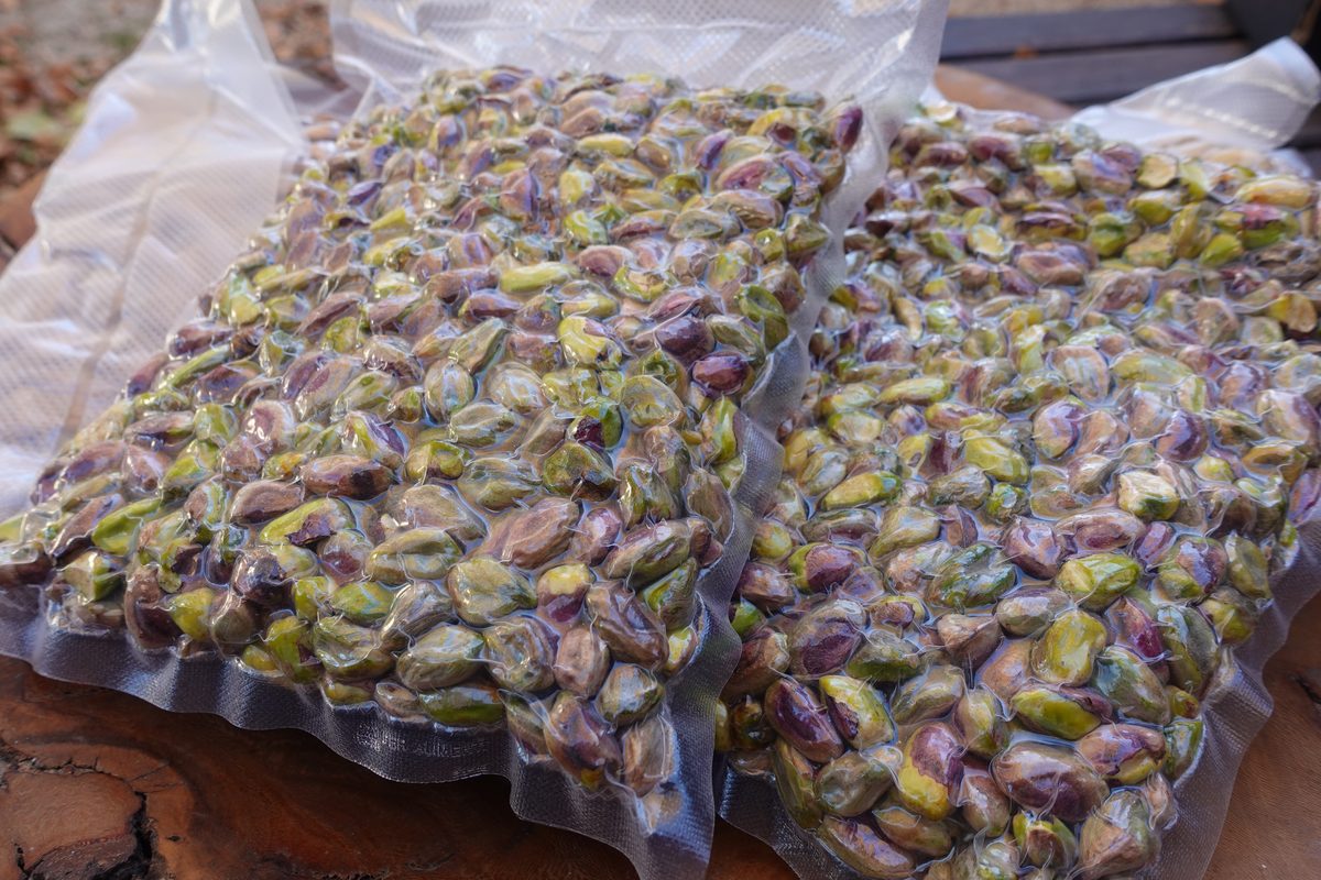 Shelled pistachios EXTRA, Spain, 2025