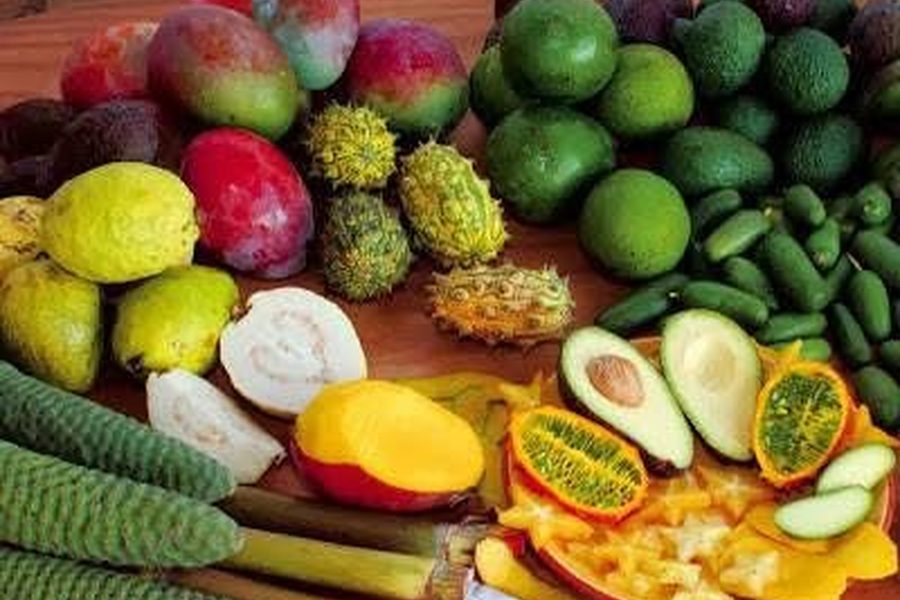 Fresh fruit & vegetables