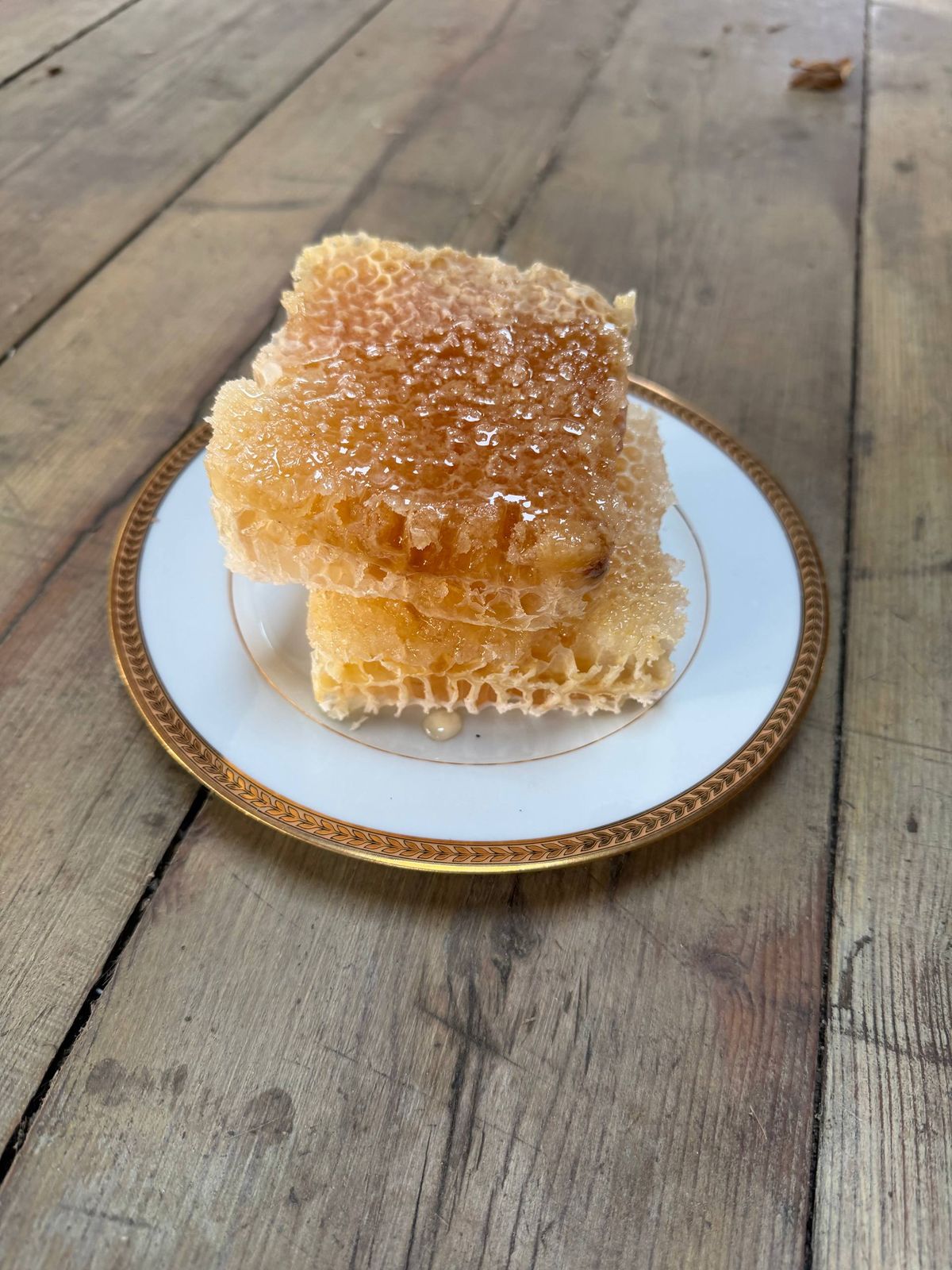 Light raw honeycomb on a gold-rimmed plate