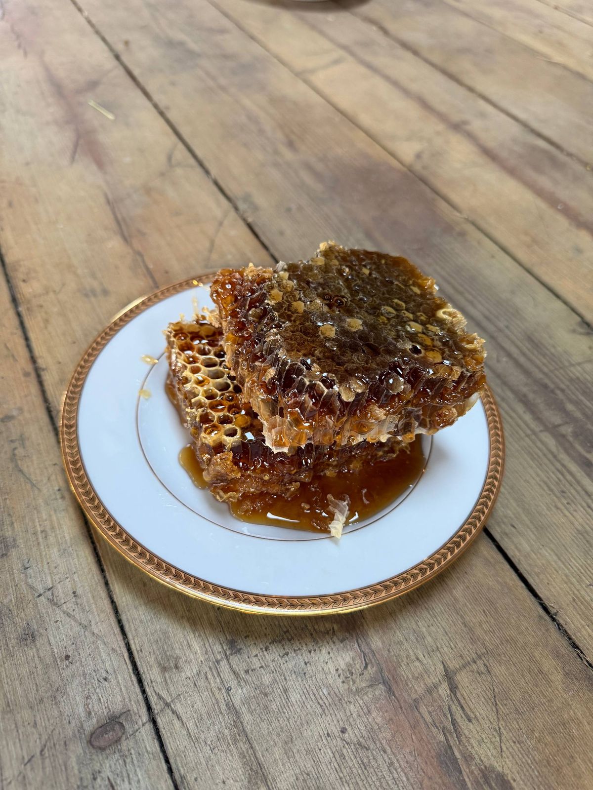 Dark raw honeycomb glistening with honey